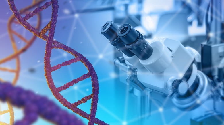 Microscope viewing DNA sequence