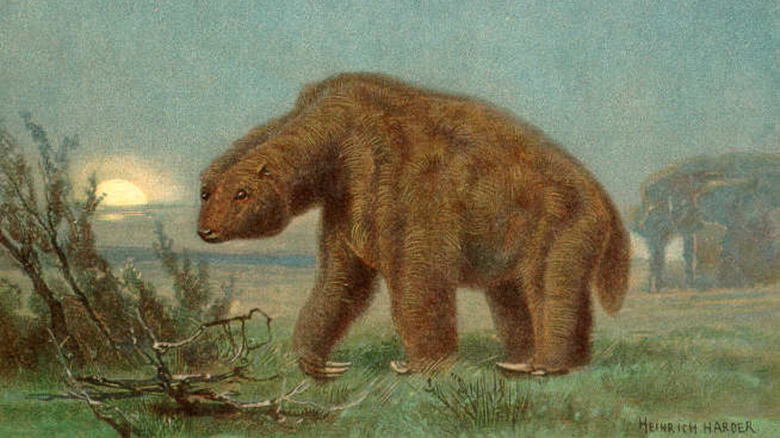 painting of giant ground sloth