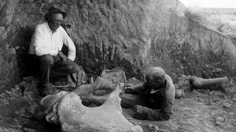 paleontologists study fossil in 1926