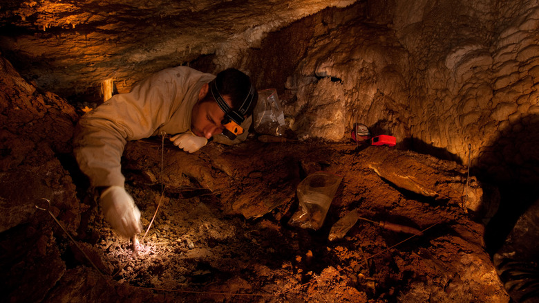 scientist excavates bones in cave