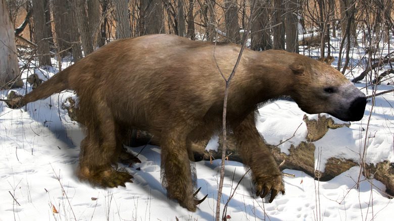 illustration giant ground sloth