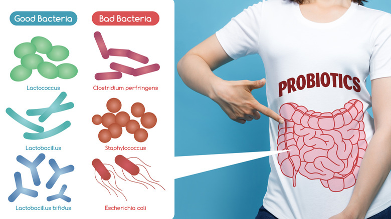 Good-bad bacteria chart