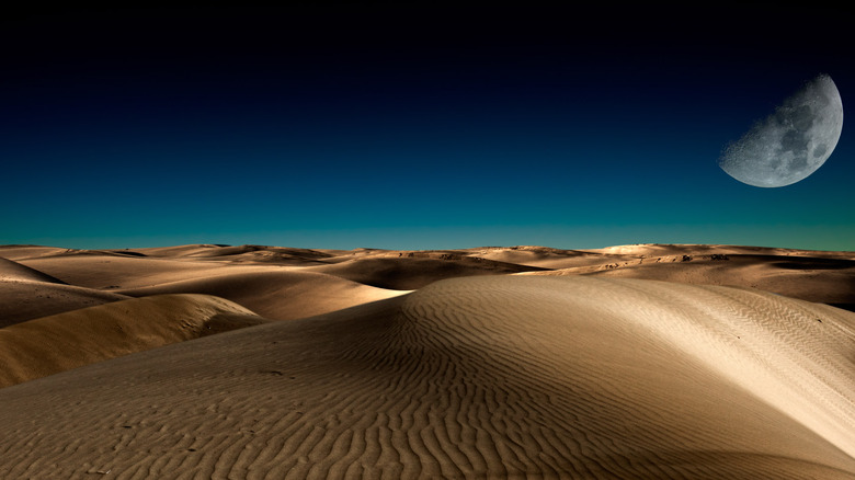 Sahara night