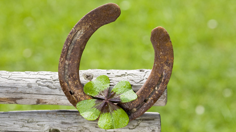 Rusted horseshoe and four-leaf clover