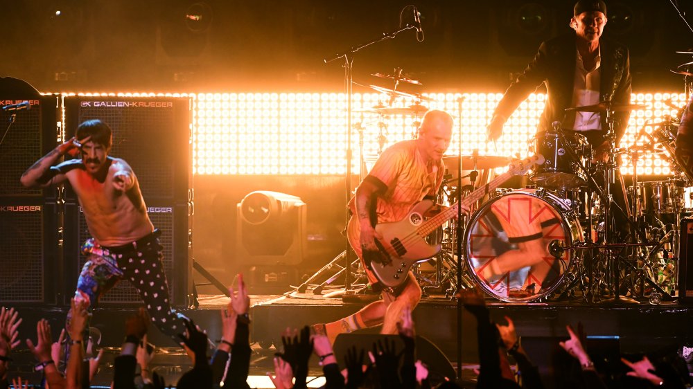 flea