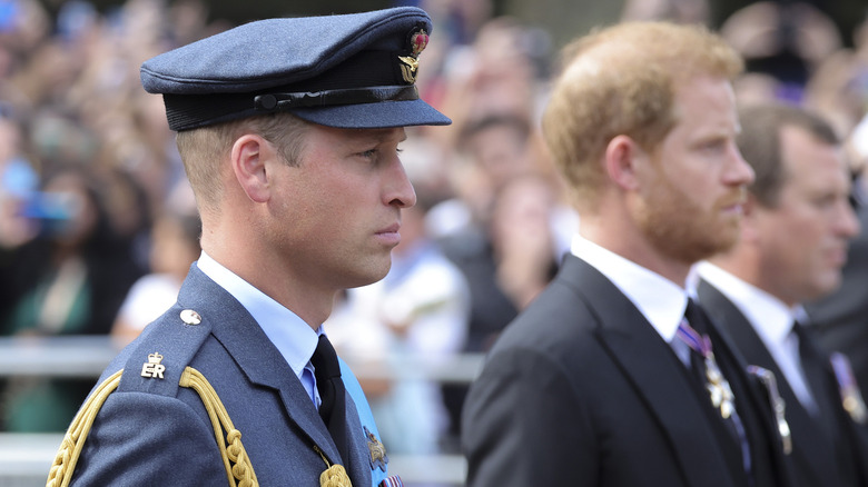 William and Harry, uniform and morning suit