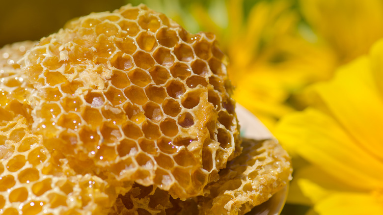 honeycomb