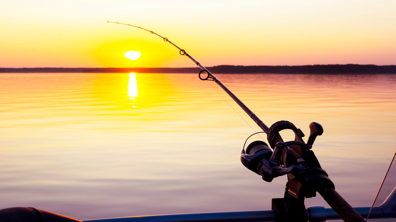 Fishing rod, water