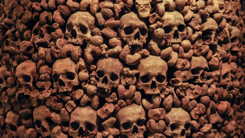 Skulls