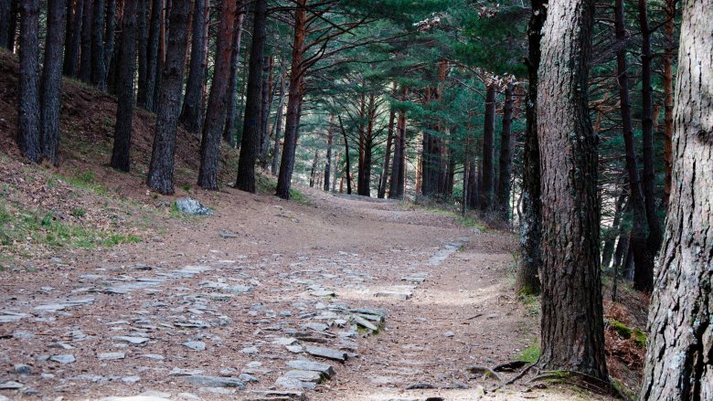 Medieval road