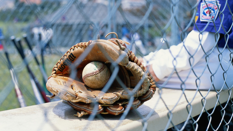 baseball bat and glove