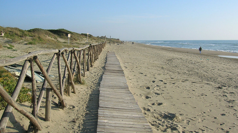 Capocotta beach, boardwalk