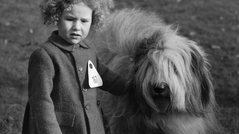 a child and dog britain world war II