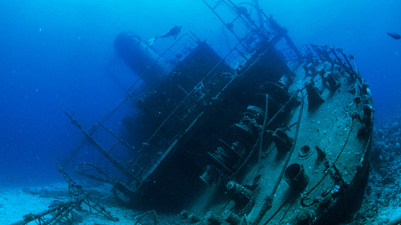 Diver investigating shipwreck