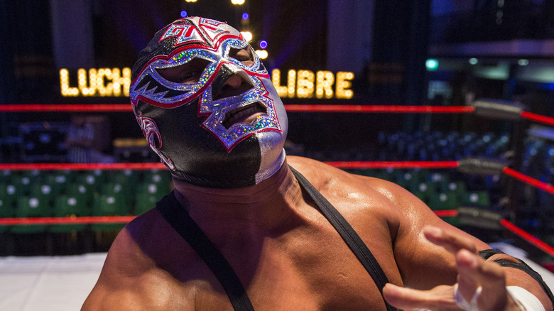 Silver King posing in the ring