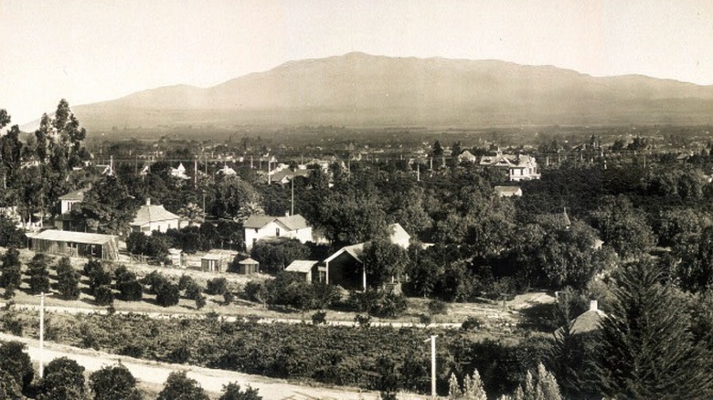 Redlands, California, 1900