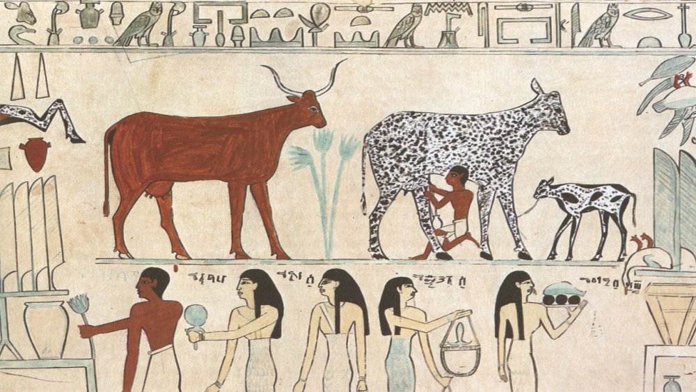 Ancient Egypt farming