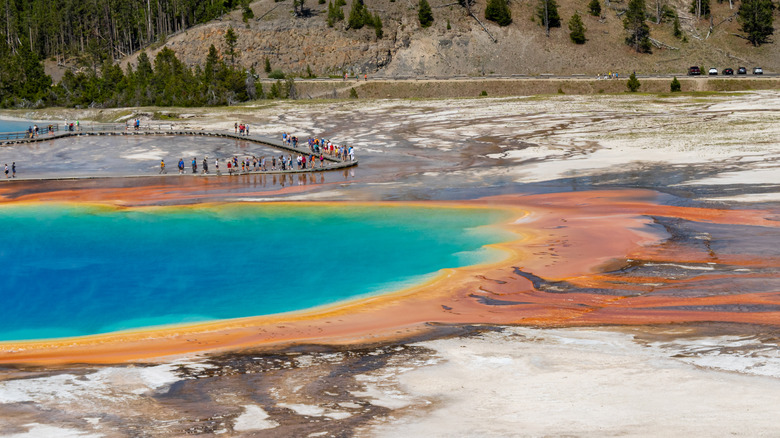 a yellowstone hot spring