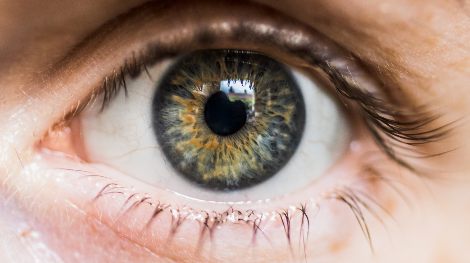 Your Eyeballs Do The Most Disturbing Thing After You Die